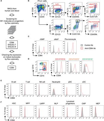 An Antibody-Drug Conjugate That Selectively Targets Human Monocyte Progenitors for Anti-Cancer Therapy